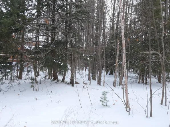 LOT 577 Forest Cir, Tiny, ON L9M 0H4