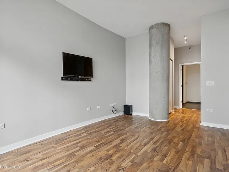 700 N Larrabee St #1711 — Photo 5
