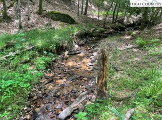 0 Daves Connector, Jefferson, NC 28640