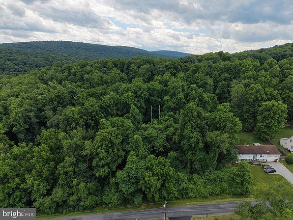 5th image of TRACT 2 52/ Acres Hickory Avenue Trl #22