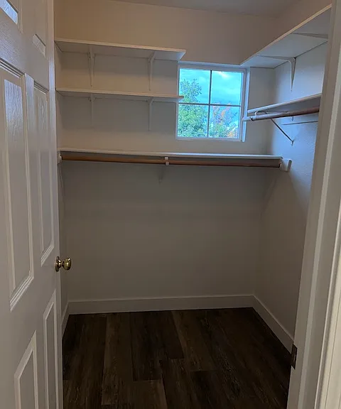 2544 Caravaggio Dr — Photo 19