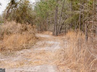 0 Bunn Store Rd Tract 2, Midville, GA 30441