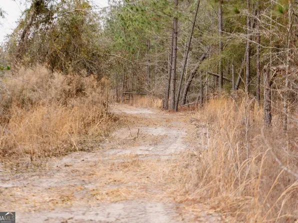 0 Bunn Store Rd Tract 1, Midville, GA 30441