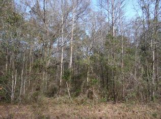 10150 Gregory Ave, Hastings, FL 32145