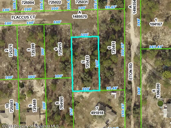 13154 Flaccus Ct, Brooksville, FL 34613