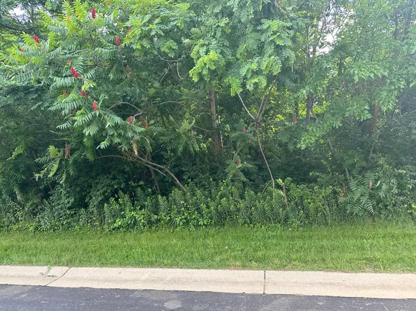 245 Northbridge Ct Lot 11, Benton Harbor, MI 49022