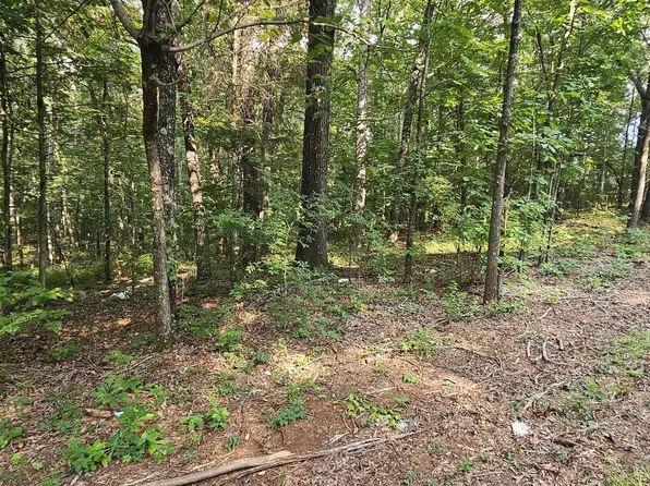 Funderburg Bend Rd #Com, Pell City, AL 35128