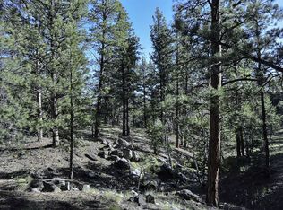 348 Wyandot Trl, Westcliffe, CO 81252