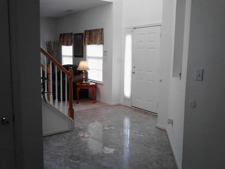 Marble in Foyer