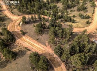 397 May Queen Dr, Cripple Creek, CO 80813