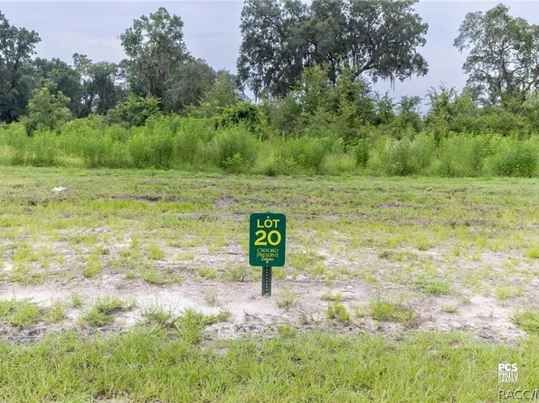 1485 Oxford Preserve, Oxford, FL 34484