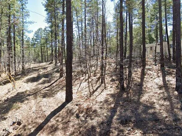 1437 E Elk Lane #33, Pinetop-Lakeside, AZ 85929