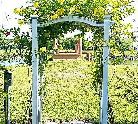 210254968_4