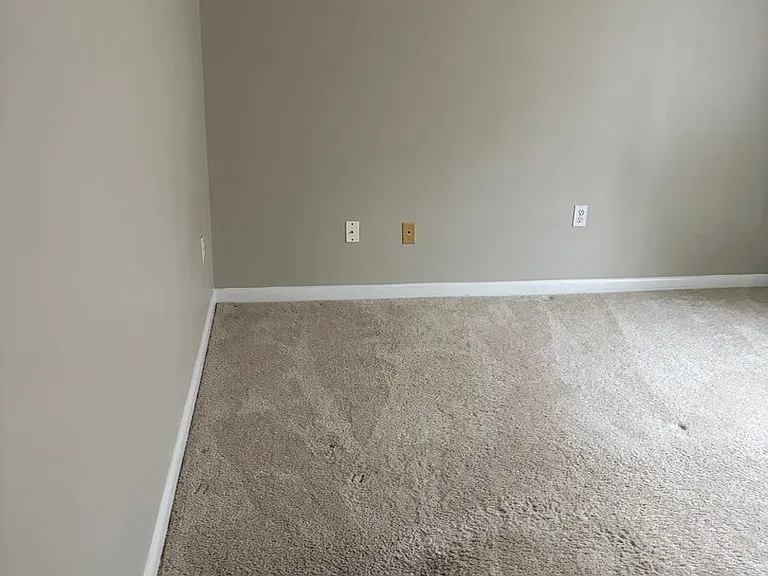 4519B Edwards Mill Rd — Photo 22