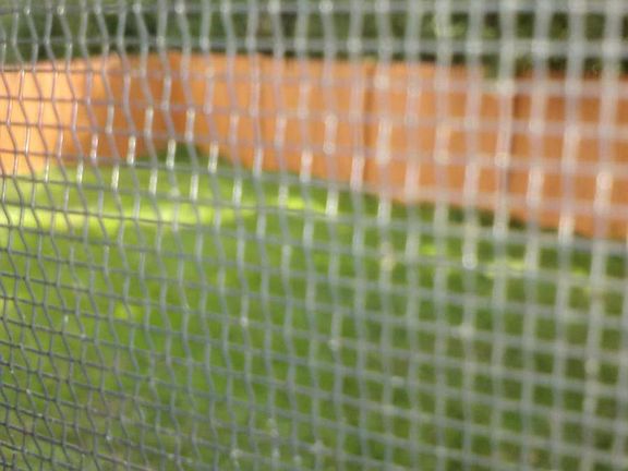 Part of yard is fenced in for a dog