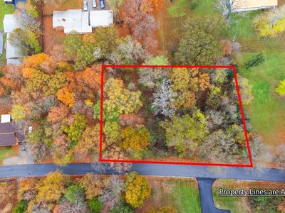 0 Jennings Rd, Grand Rivers, KY, 42045