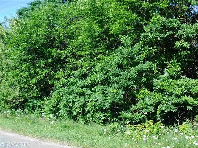 2nd image of Vidzeme