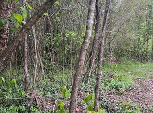 Indian Mountain Rd, Jellico, TN 37762