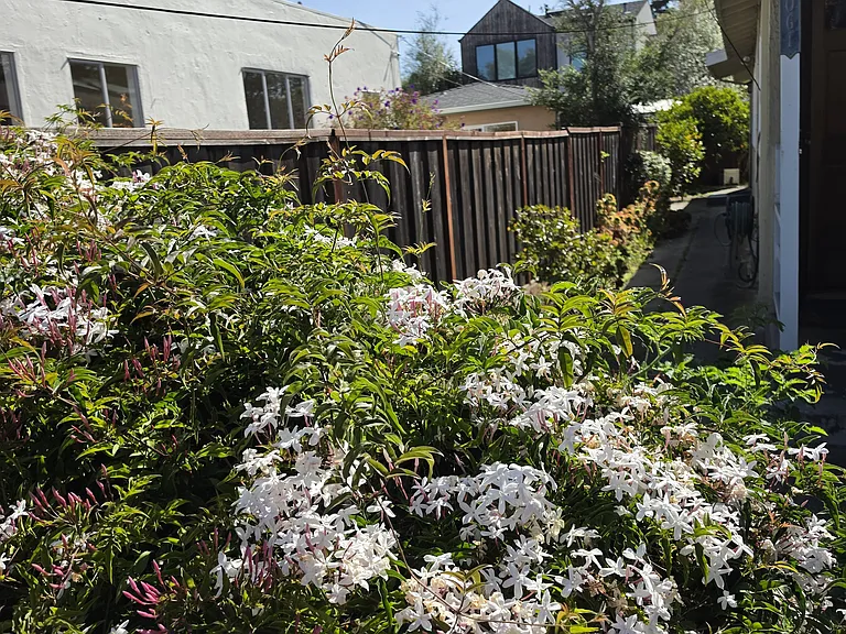 1063 Talbot Ave — Photo 1