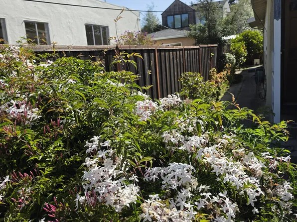 1063 Talbot Ave, Albany, CA 94706