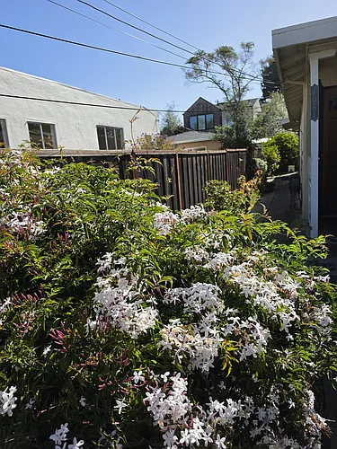 1063 Talbot Ave Photo 1