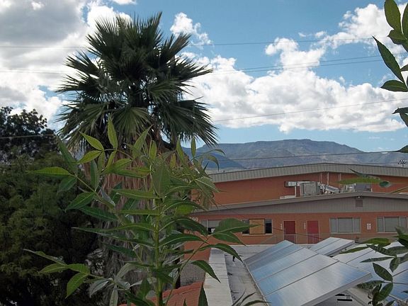 Mountain views from every perspective