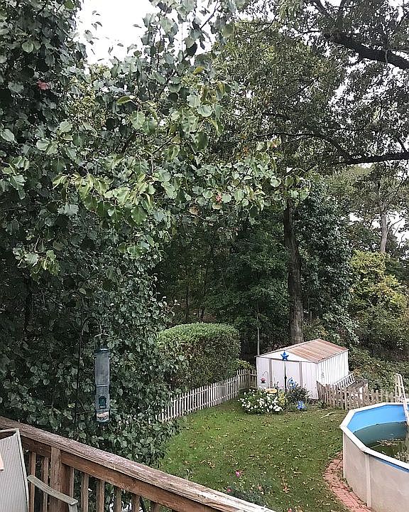 2nd image of 1623 Glenbrook Ave