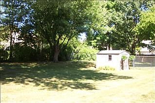 Backyard with shed