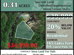 165 Ladys Fern Trl, Laurel Park, NC 28739