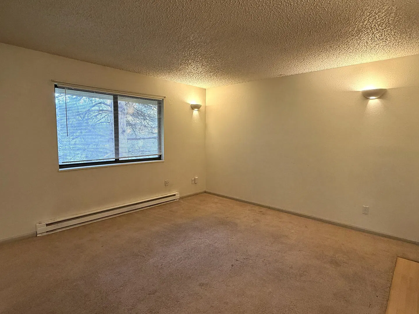 Cozy Fort Collins Living | 2 Bed, 1 Bath with Fireplace — Photo 2