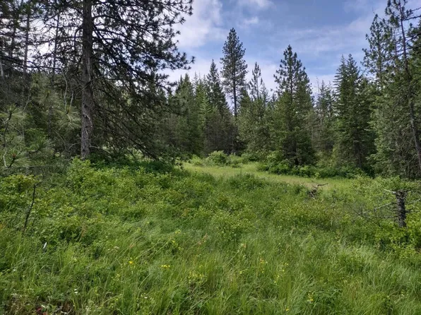 Xx Gardenspot Rd, Loon Lake, WA 99148