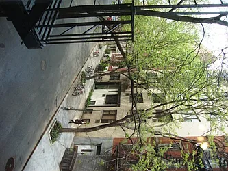 Rented by Mark David