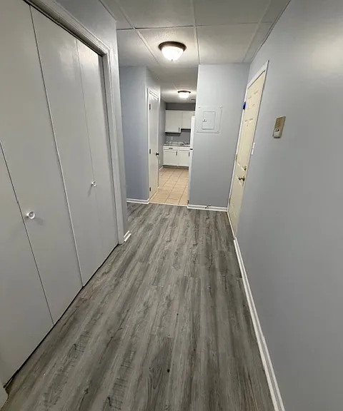 205 Plum St #3 — Photo 8