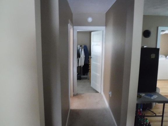 5th image of 160 Hirams Hollow Dr