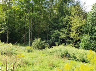 E Lake Rd, New Milford, PA 18834