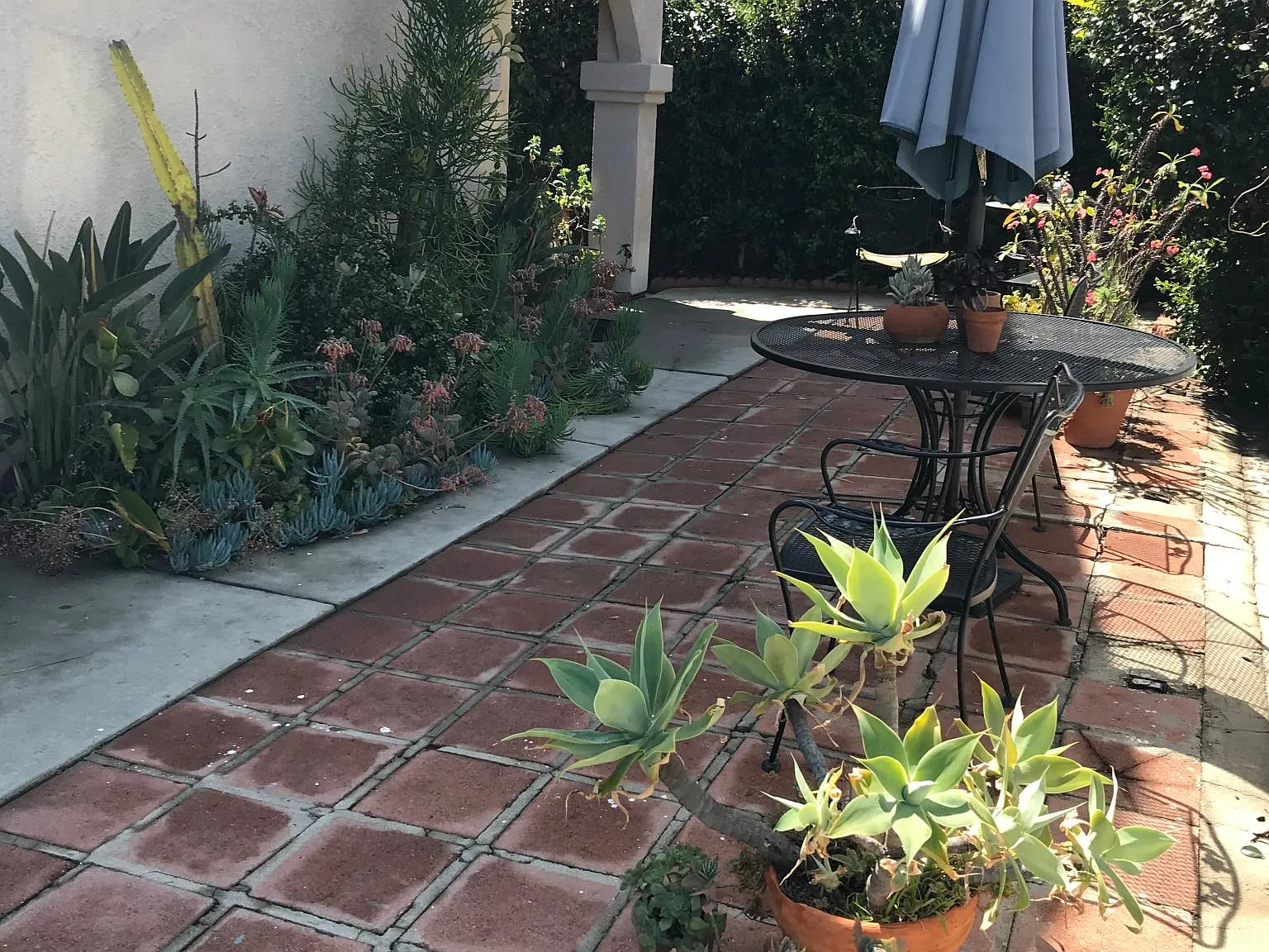 3 bed, 1000 sqft, $3,600 — Photo 2