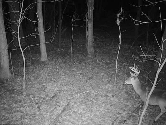 5th image of 0 Dyer Branch Rd Lot 10