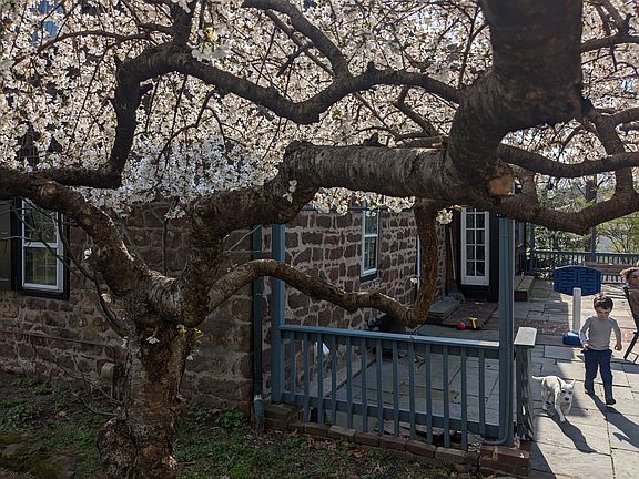 5th image of 618 River Rd