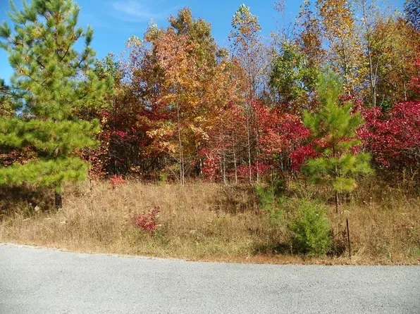 LOT 14 Overlook Dr, Spencer, TN 38585