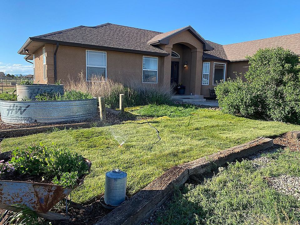 lavender, poppies, orchids 