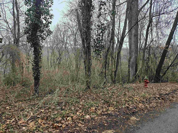 Tbd Hickory Rd, Radford, VA 24141