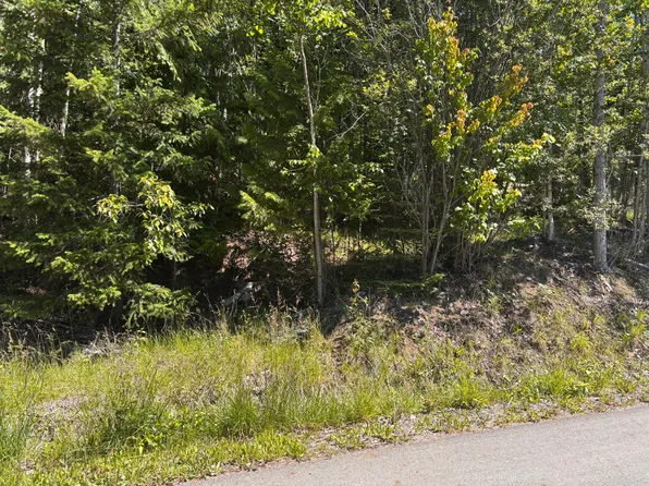 LOT 131 Aspen Rd, Columbia Shuswap, BC V0E 1M8