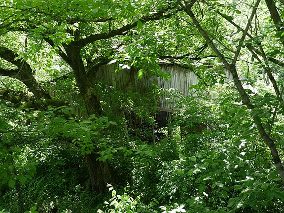 2nd image of 967 Shoals Ln Lot Wp0001
