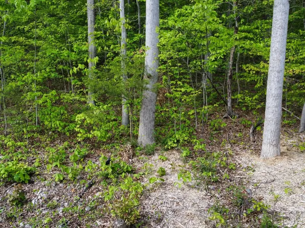 8700 Heiskell Rd, Powell, TN 37849
