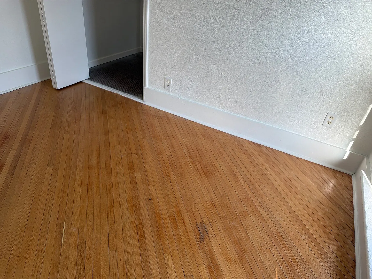 2 bed, 1272 sqft, $925 — Photo 4