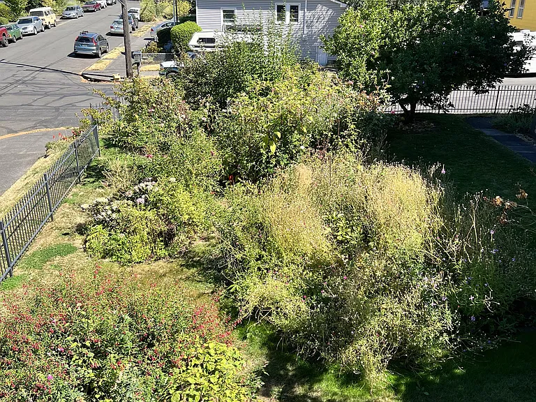 1112 N Beech St — Photo 36