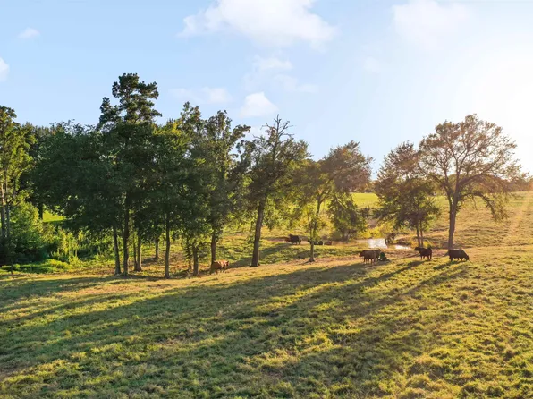 21618 Mixon Rd, Troup, TX 75789
