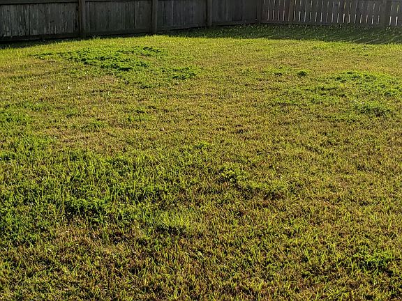 5th image of 5425 Pine Creek Dr