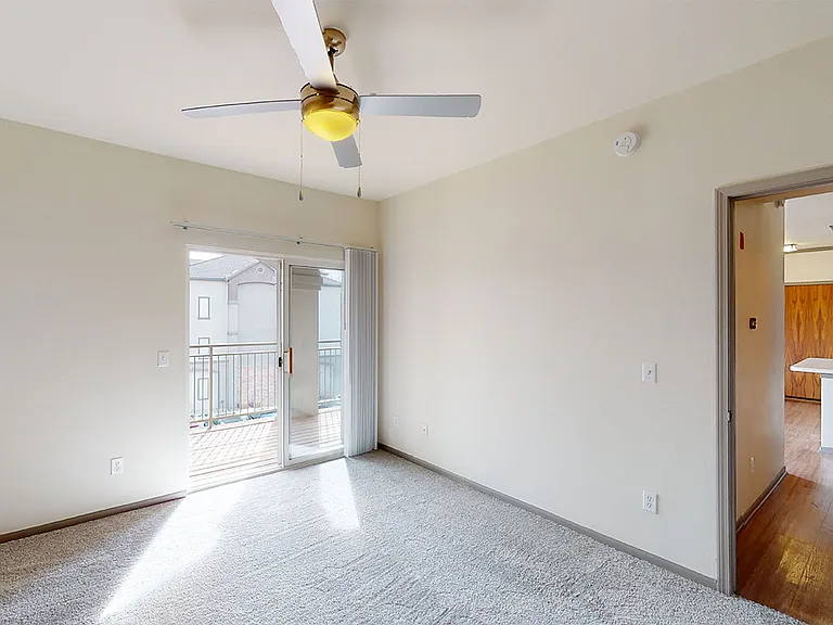 Spacious apartment bedroom with large closet and plush carpet flooring.