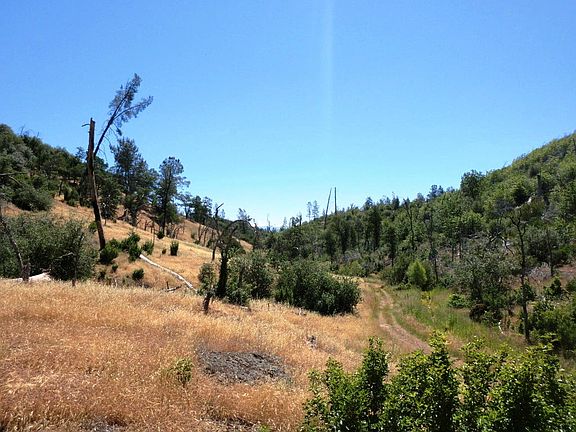 2nd image of 38 Acres Aloha